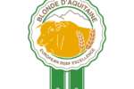MARCHIO_BLONDE_page