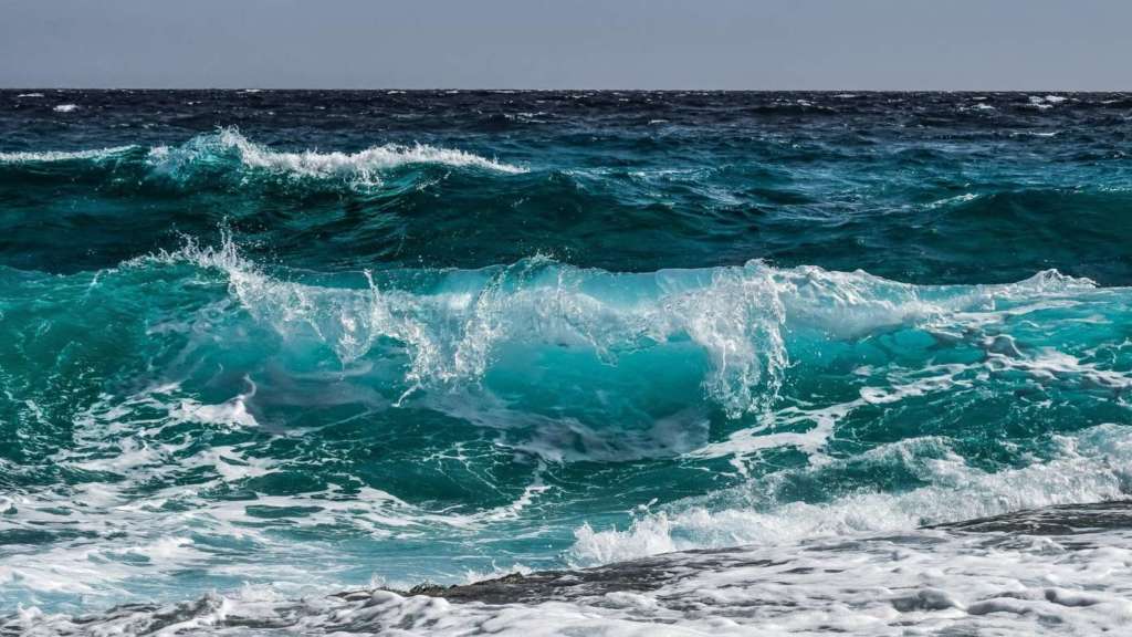 Taste the Ocean