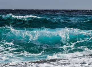 Taste the Ocean