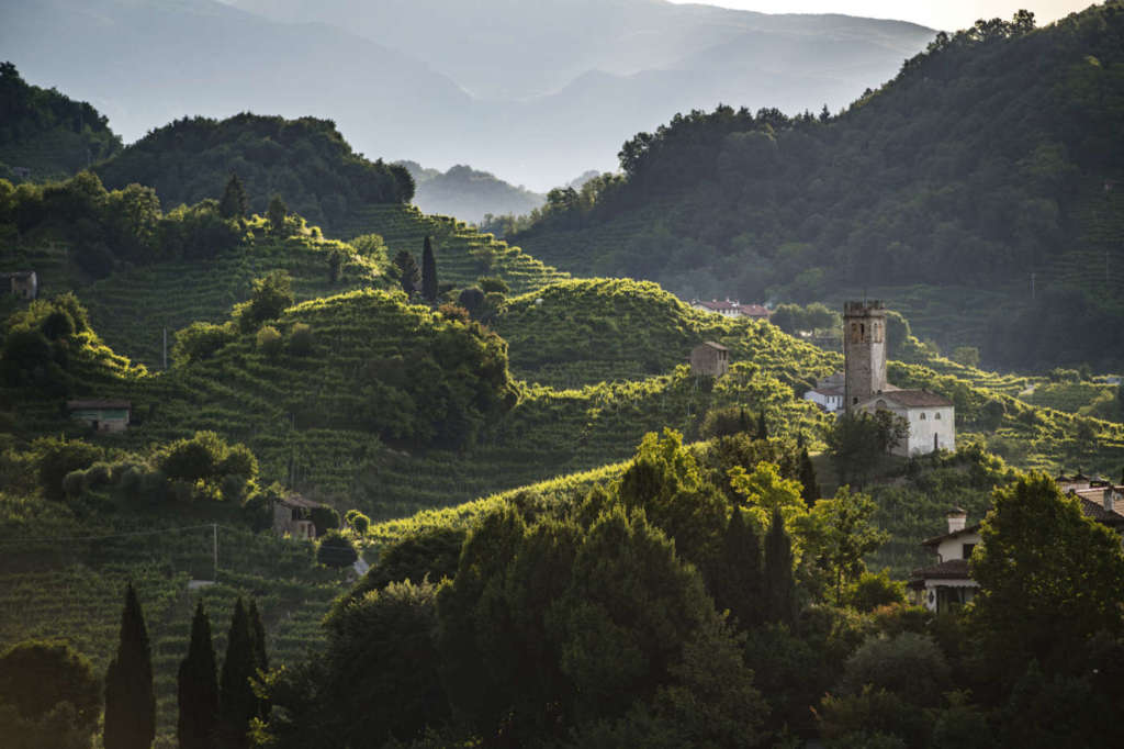 Conegliano Valdobbiadene prosecco
