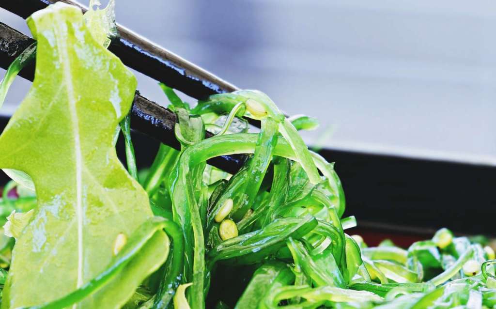 food-trend