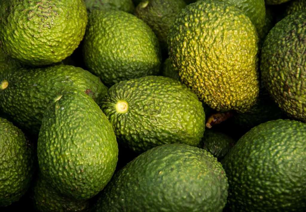 olio di avocado