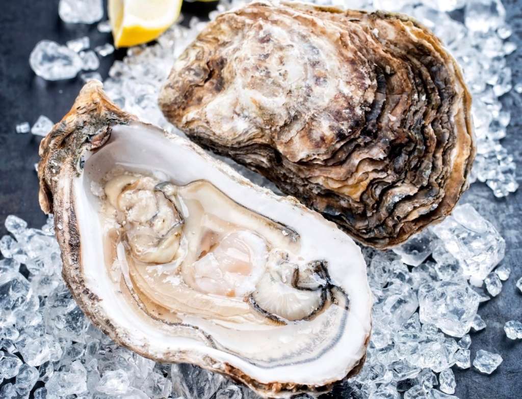 GranChef Premium Food