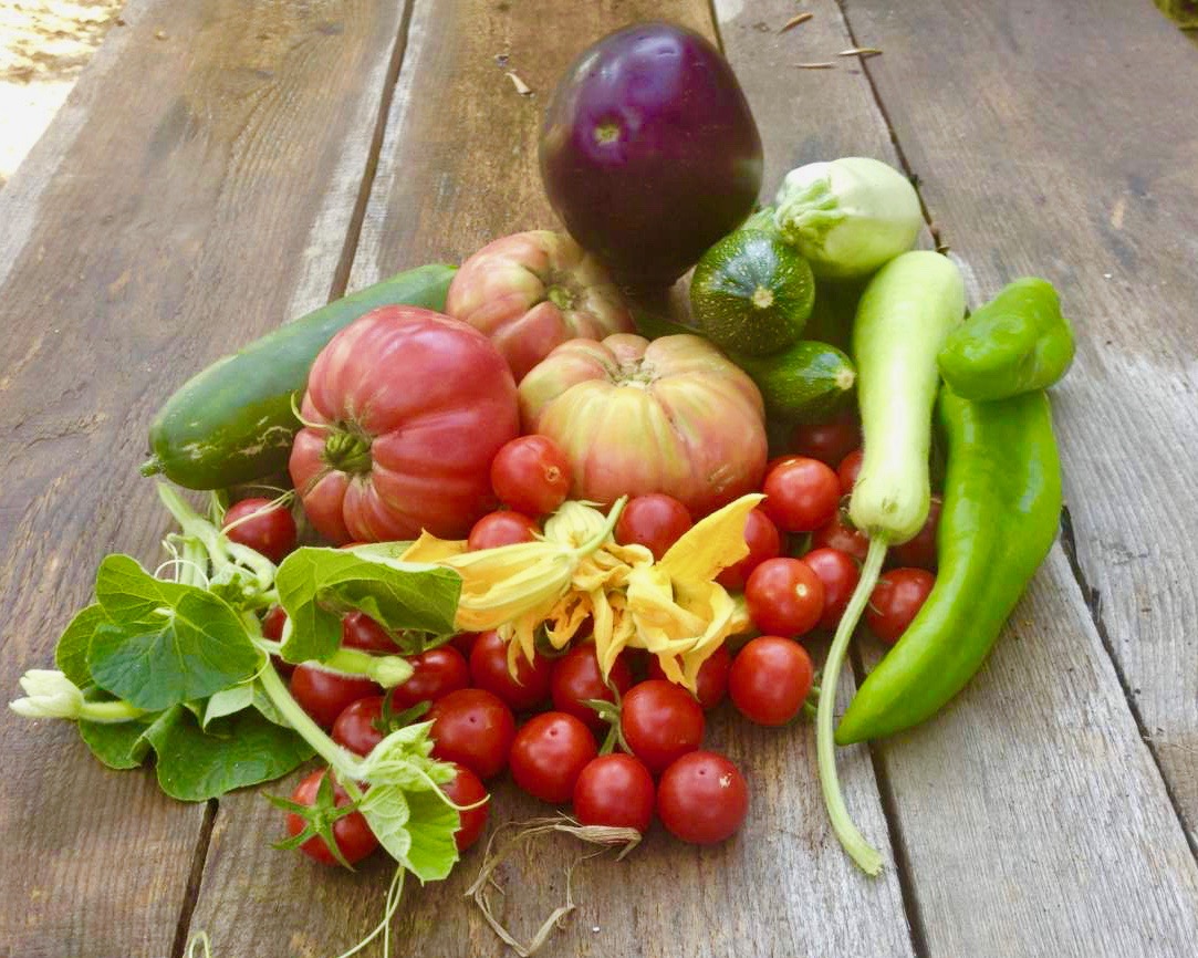Stelle Michelin Italia 2025: Tutte le nuove Stelle Verdi | Ristoranti Web