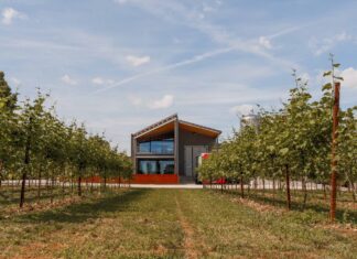 Cantina Pizzolato: si punta a consolidamento internazionale e innovazione no e low alcol