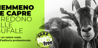 “100% Fake Free”: l’impegno di Tecniche Nuove per un’informazione professionale verificata