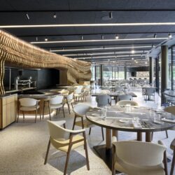 La crescita coerente di DaV boxLuci_01_26