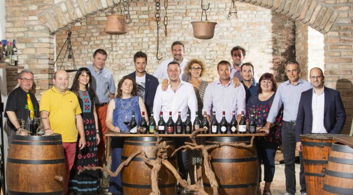 Bonarda, la svolta dell’Oltrepò: nasce “La Mossa Perfetta”