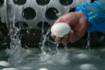 Si fa presto a dire mozzarella: la sfida dello chef Carcangiu con i latticini