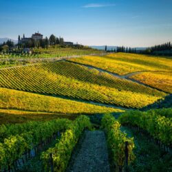 Chianti Classico: icona dell&rsquo;enologia italiana