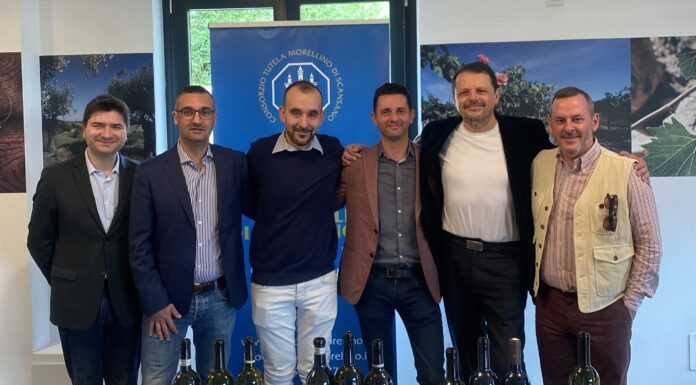 Morellino del Cuore 2026: selezionati i dieci vini simbolo della denominazione