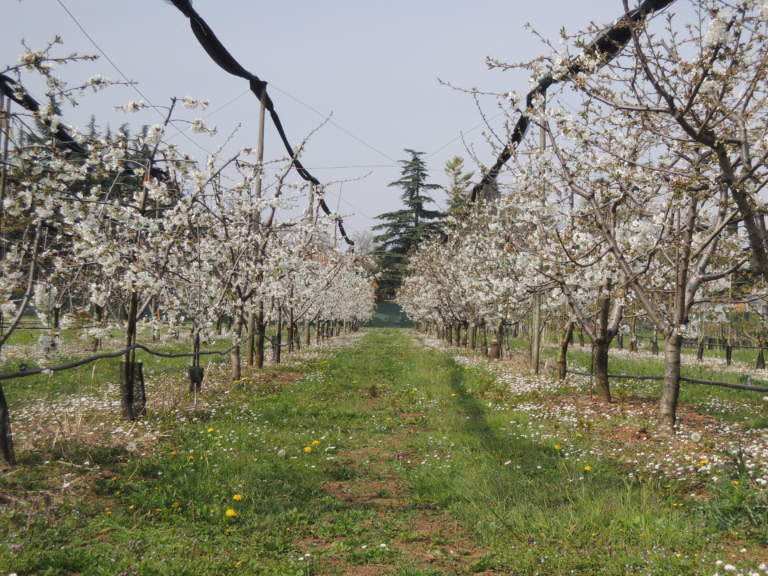 impianti