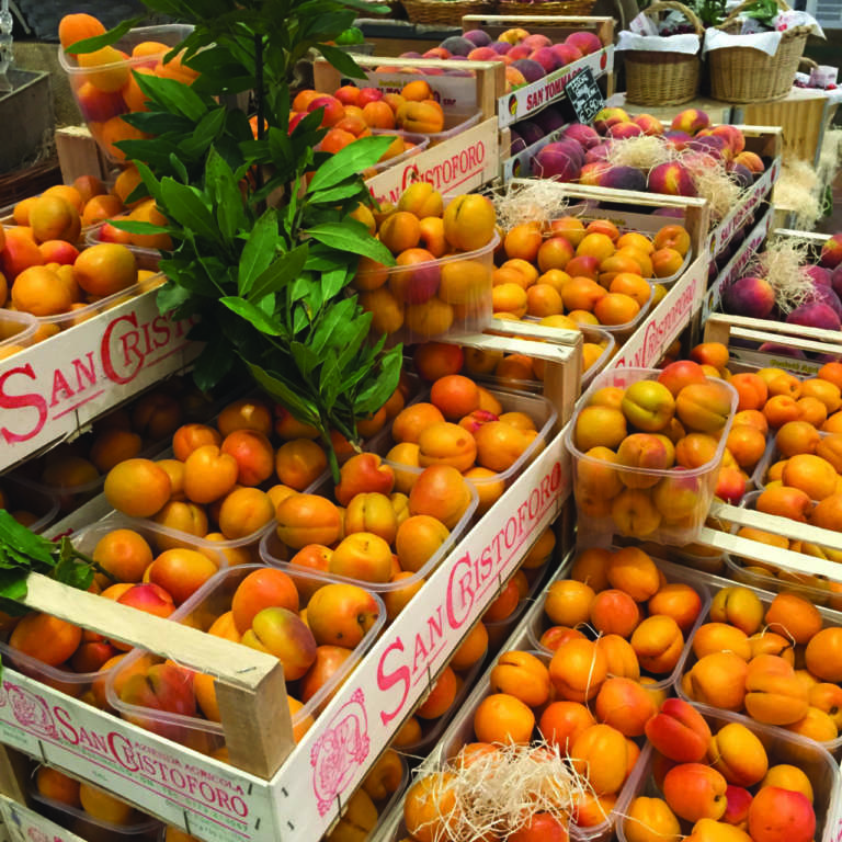 Macfrut