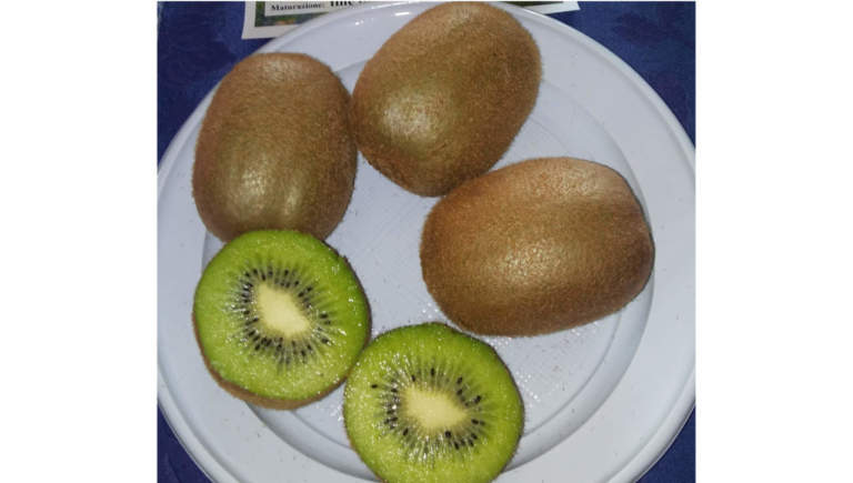 actinidia