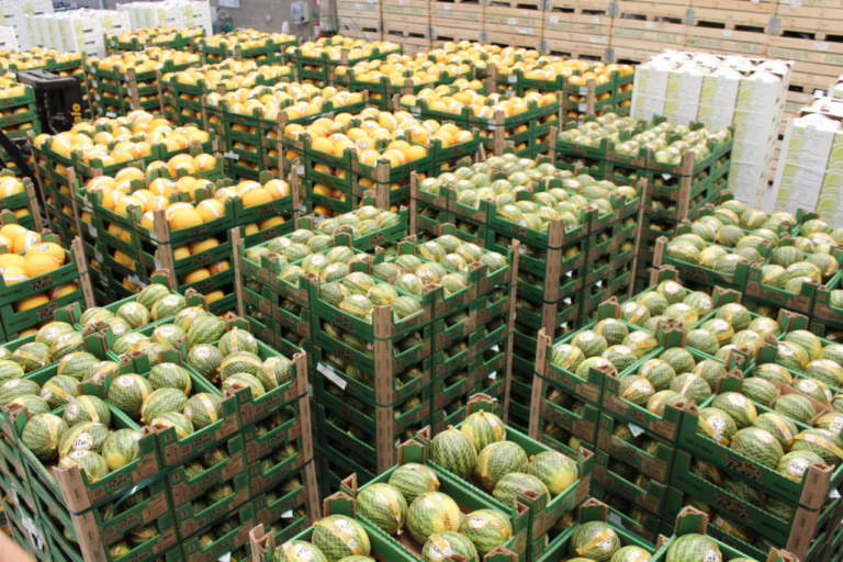 mercati all'ingrosso