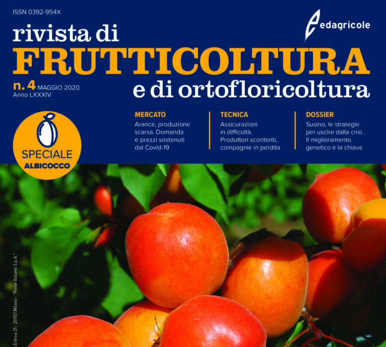 informazione di qualità