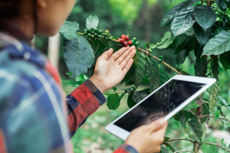 trasformazione digitale
