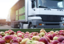 Ortofrutta, l’export vola a 6,7 miliardi ma senza manodopera il sistema si ferma ortofrutta