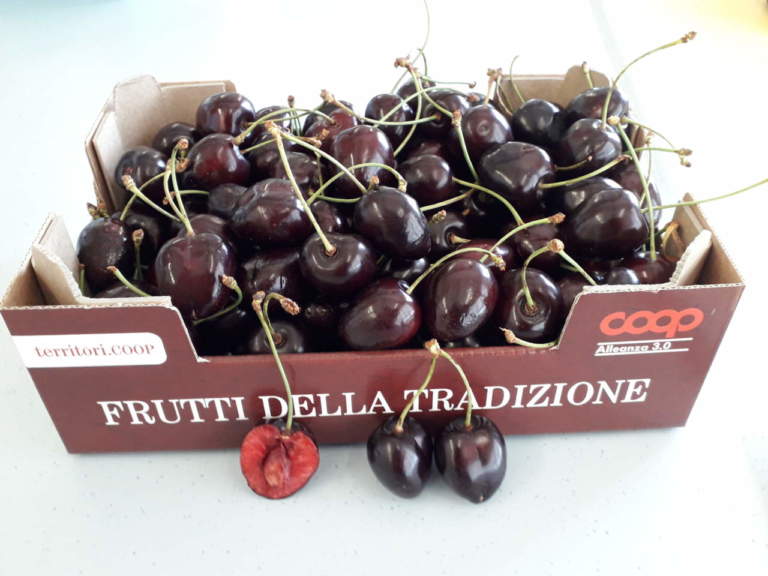 varietà frutticole