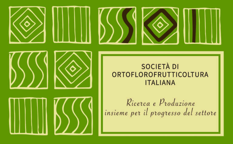 Soi