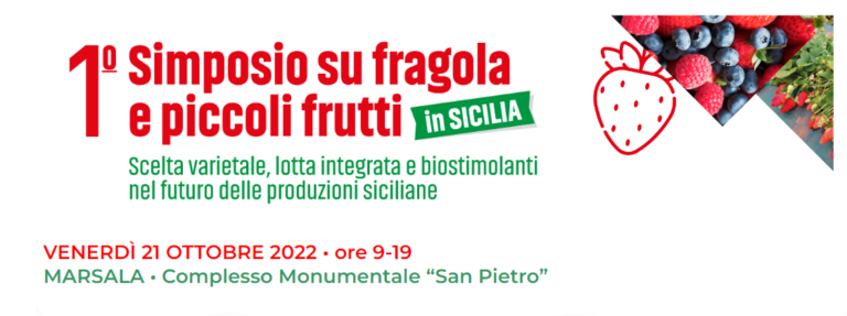 piccoli frutti