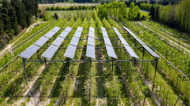 agrivoltaico