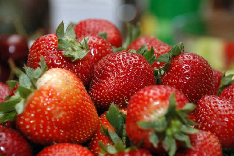 fragola