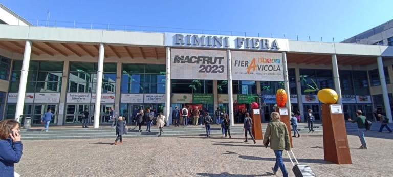 Macfrut