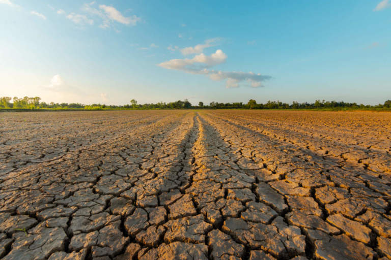 impatto cambiamenti climatici ortofrutticoltura