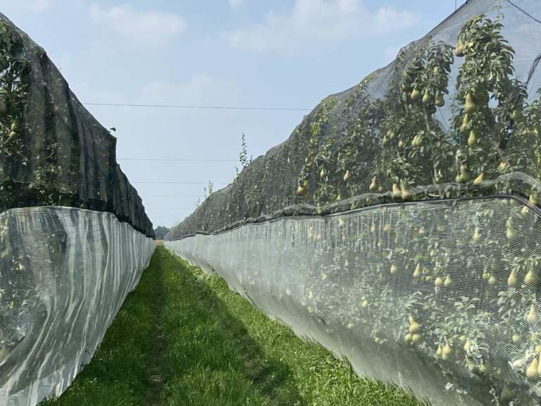 gestione del rischio