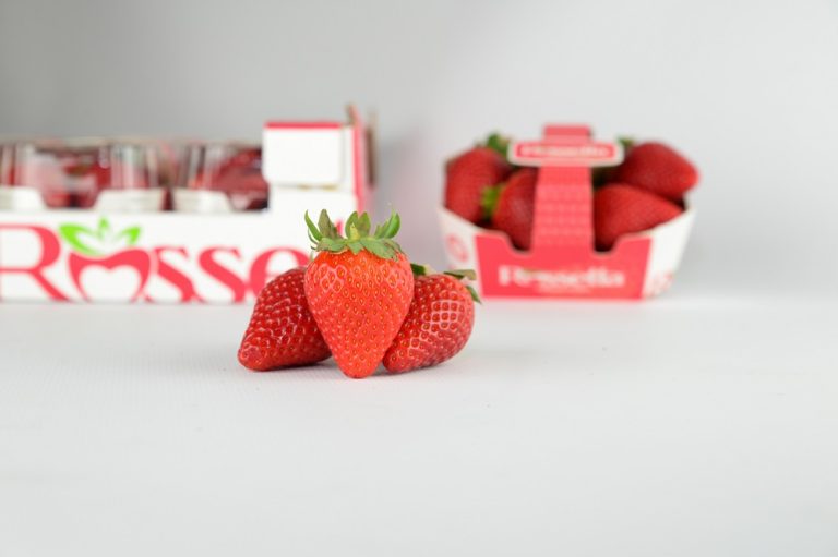 Rossetta