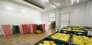 conservazione post raccolta