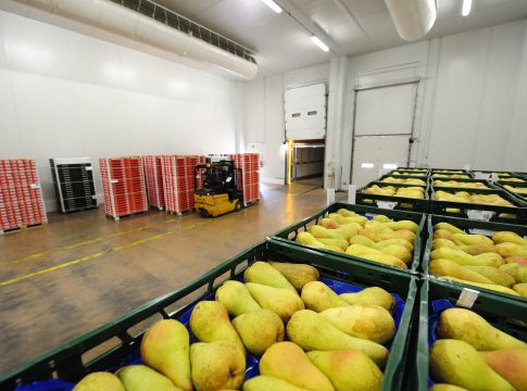 conservazione post raccolta