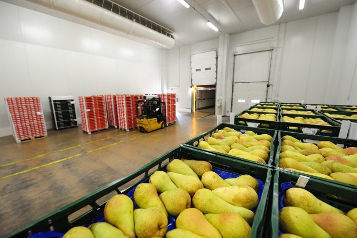 conservazione post raccolta