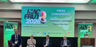macfrut