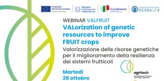 Valfruit: valorizzare le risorse genetiche per migliorare la resilienza dei sistemi frutticoli