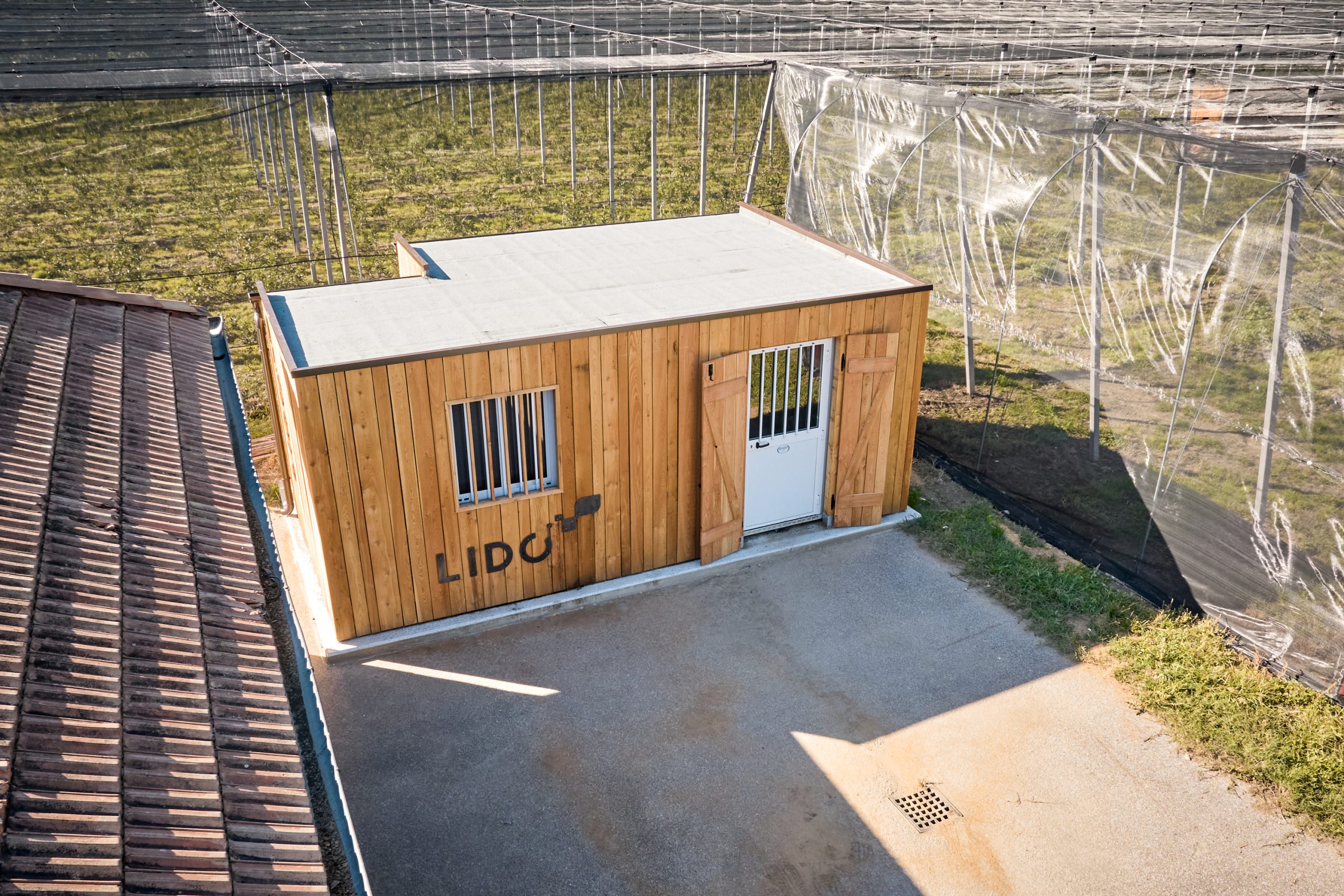 Lido