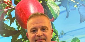 Il futuro della mela: rimettere al centro il consumatore mele