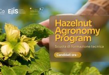 Ferrero Hazelnut Agronomy Program