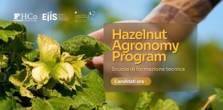 Ferrero Hazelnut Agronomy Program