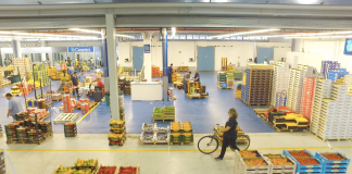 mercati all'ingrosso ortofrutta