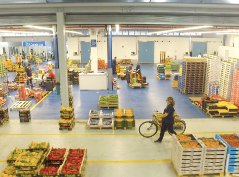 mercati all'ingrosso ortofrutta