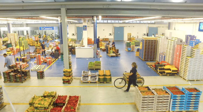 mercati all'ingrosso ortofrutta