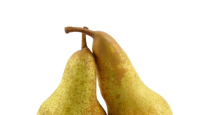 Pere, un’annata di transizione e resistenza