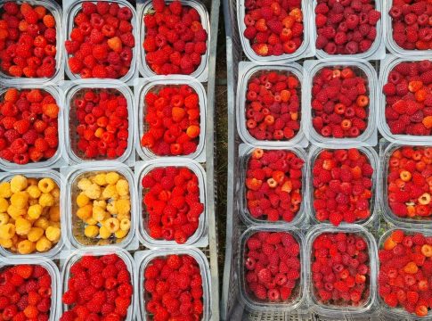 proprietà intellettuale