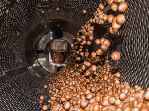 Nocciole piemontesi: prezzi record ma mercato in affanno nocciole