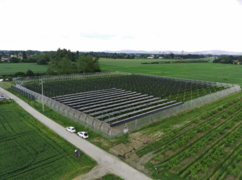 Peschicoltura più sostenibile grazie alla combinazione di diverse tecnologie pescheto S4O