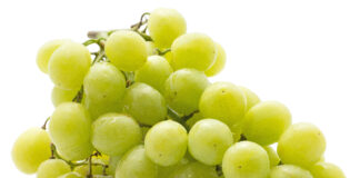 prezzi uva da tavola