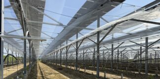 Agrivoltaico avanzato: funziona se l’agronomia è al primo posto agrivoltaico avanzato