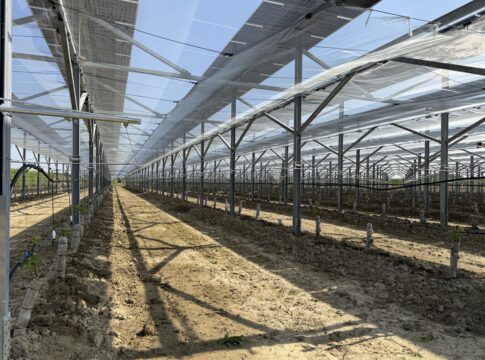 agrivoltaico avanzato